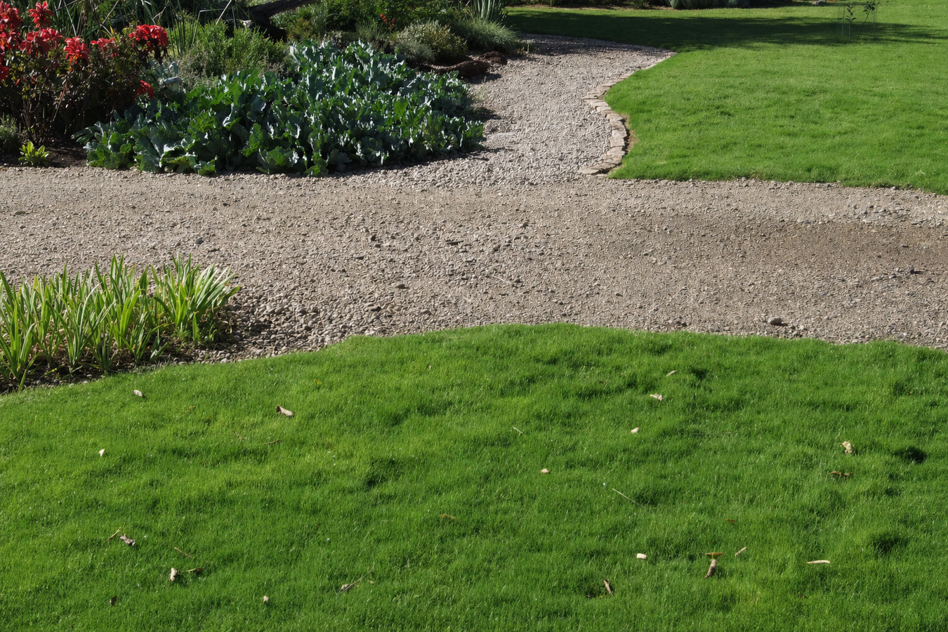 Drought-tolerant turf in Fort Walton Beach, FL