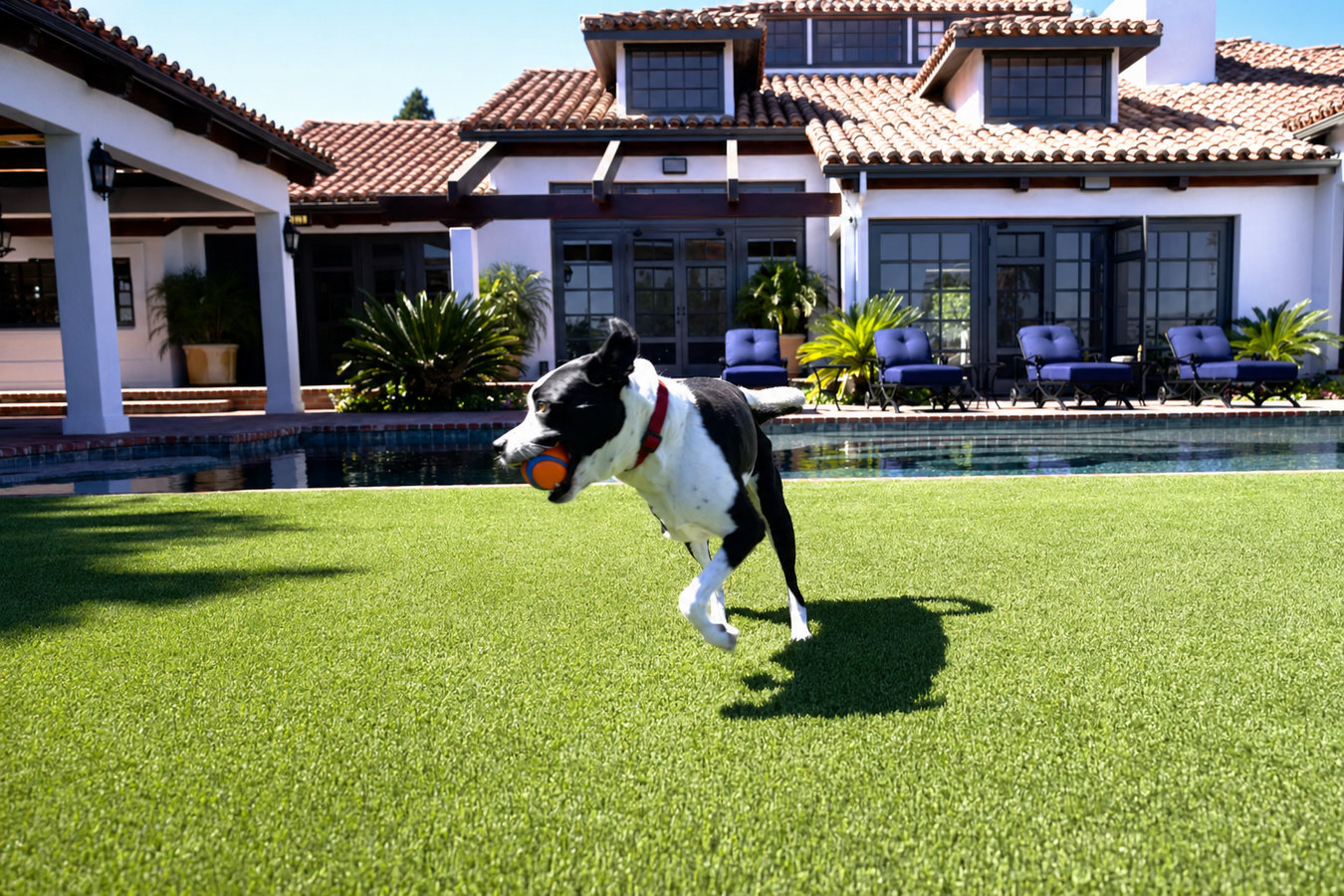 Pet-friendly turf in Fort Walton Beach, FL